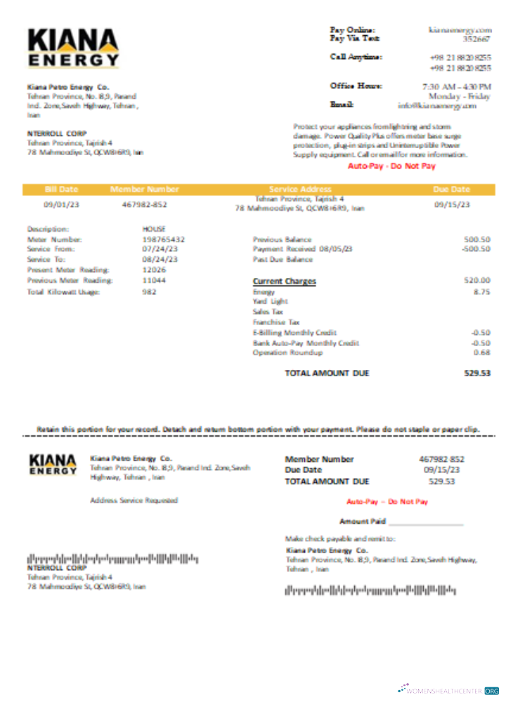 Download Kiana Petro Energy Co utility business bill, SCR Photoshop template